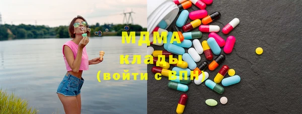 индика Володарск