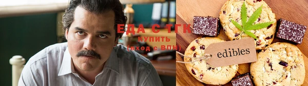 индика Володарск