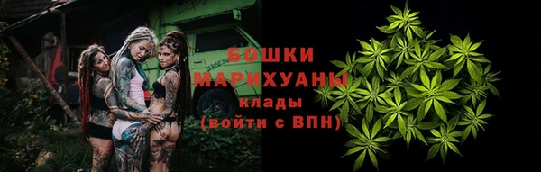 индика Володарск