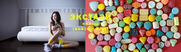 индика Володарск