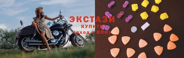 индика Володарск