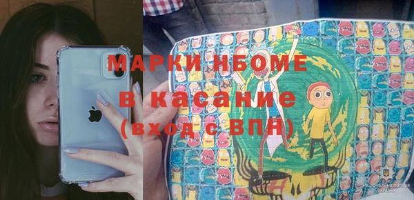индика Володарск