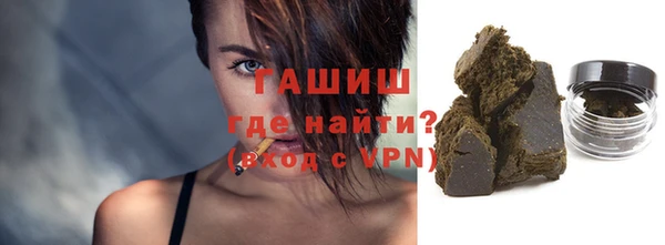 индика Володарск