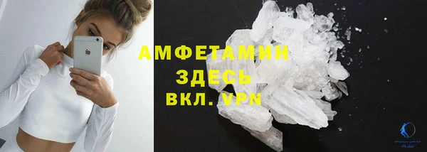 индика Володарск