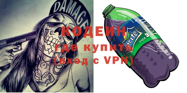 индика Володарск