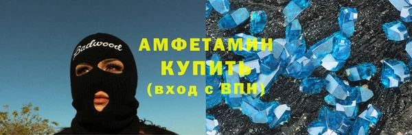 индика Володарск