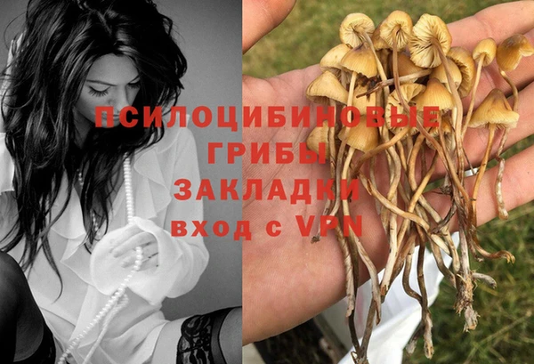 мет Вяземский